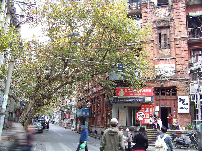 20101114o۶ (12)͹.jpg