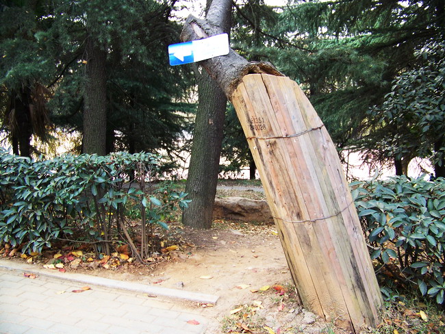 100_5419.jpg