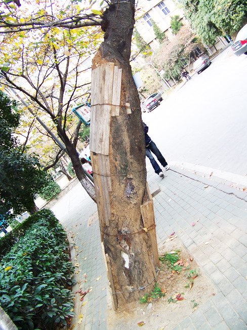 100_5421.jpg
