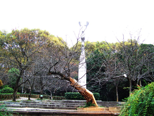 100_5480.jpg
