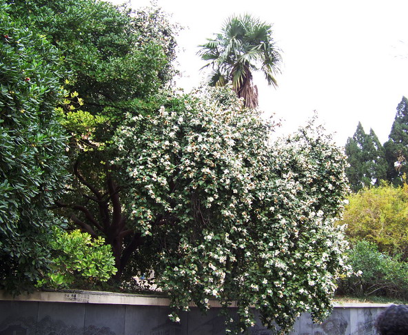 100_5459.jpg