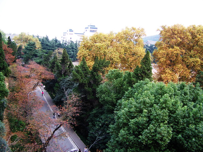 100_5444.jpg