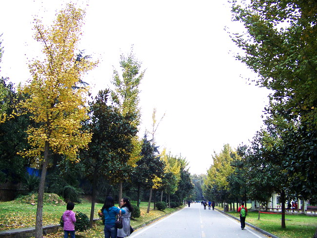 100_5593.jpg