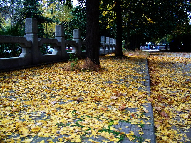 100_5595.jpg