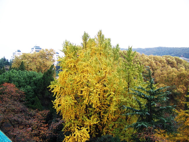 100_5437.jpg