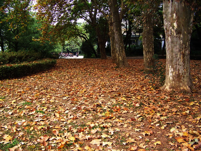100_5560.jpg