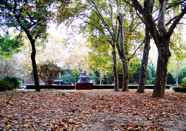 100_5551.jpg