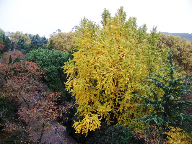 100_5440.jpg
