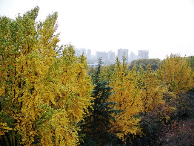 100_5443.jpg