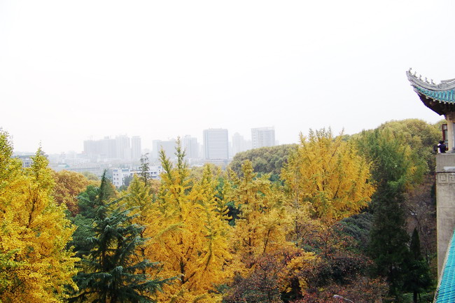 100_5451.jpg