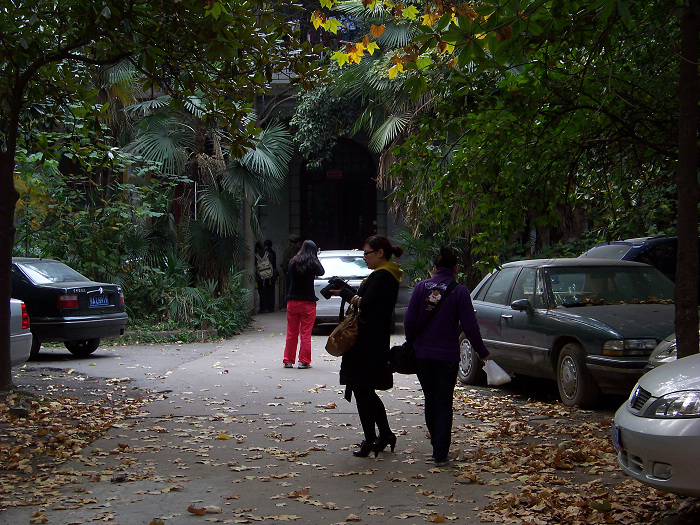 20101114pͥ (11)¹.jpg