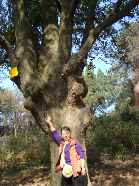 dsc02415.jpg