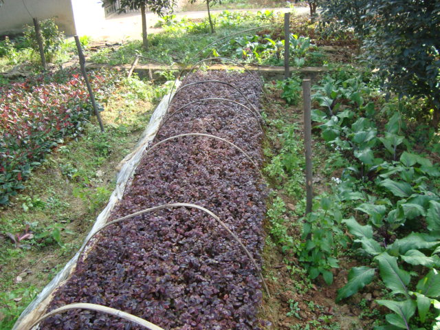 dsc02404.jpg