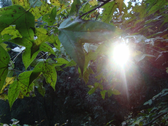 dsc02391.jpg
