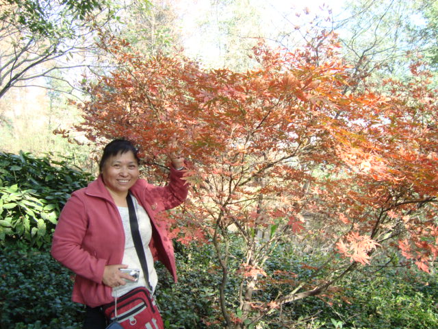dsc02429.jpg