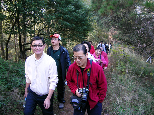 2010112020381359206.jpg