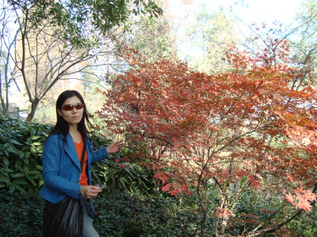 dsc02428.jpg