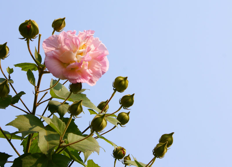 dsc02456.jpg