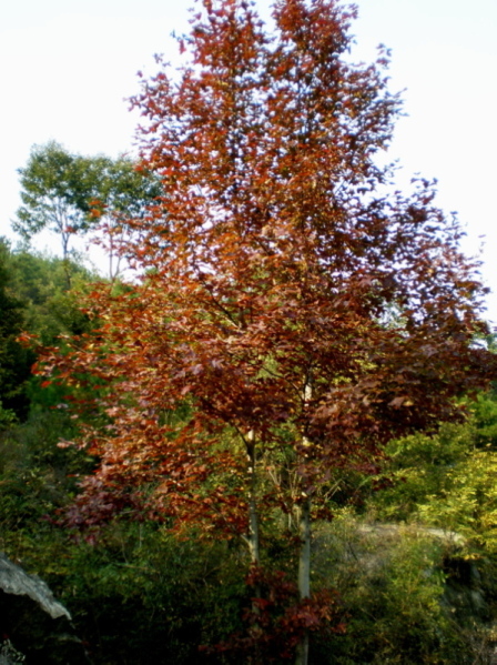 20101031_133.jpg