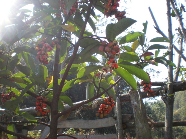 20101031_92.jpg