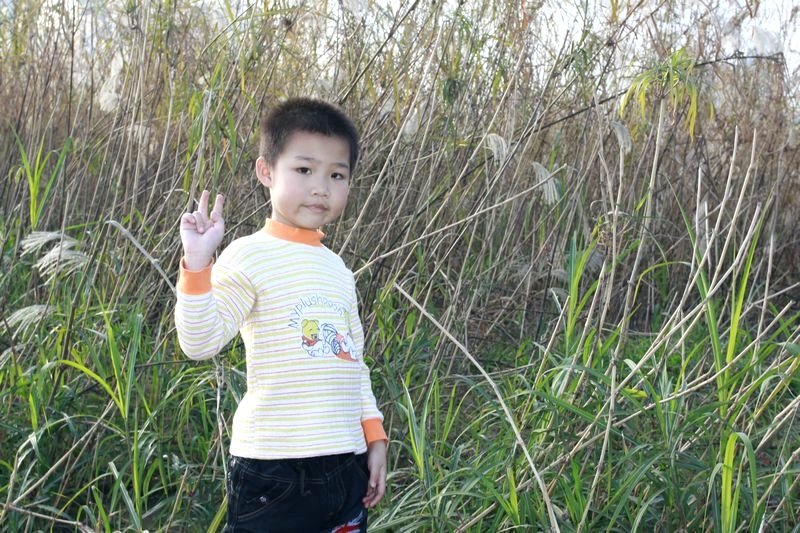 img_1165_Ӱ_1.jpg