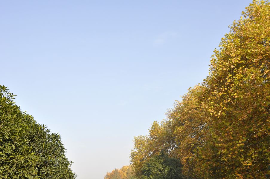 _dsc0011.jpg
