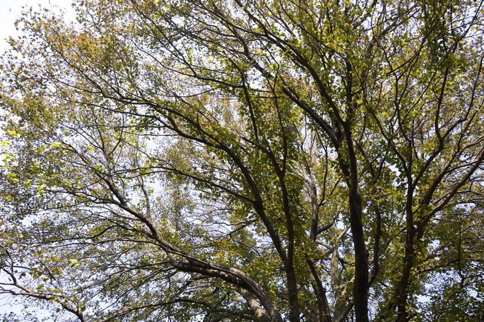 _dsc0095.jpg