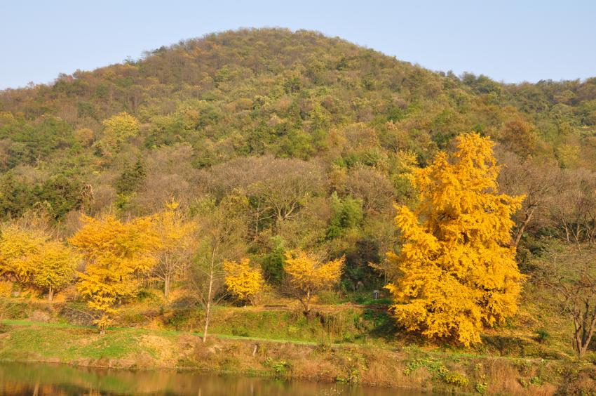 dsc_0351.jpg