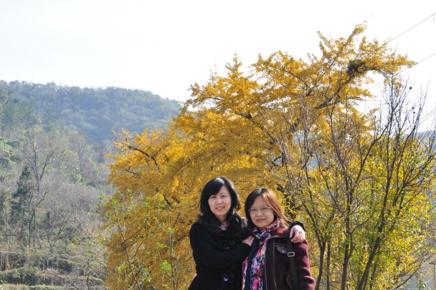csc_0374.jpg