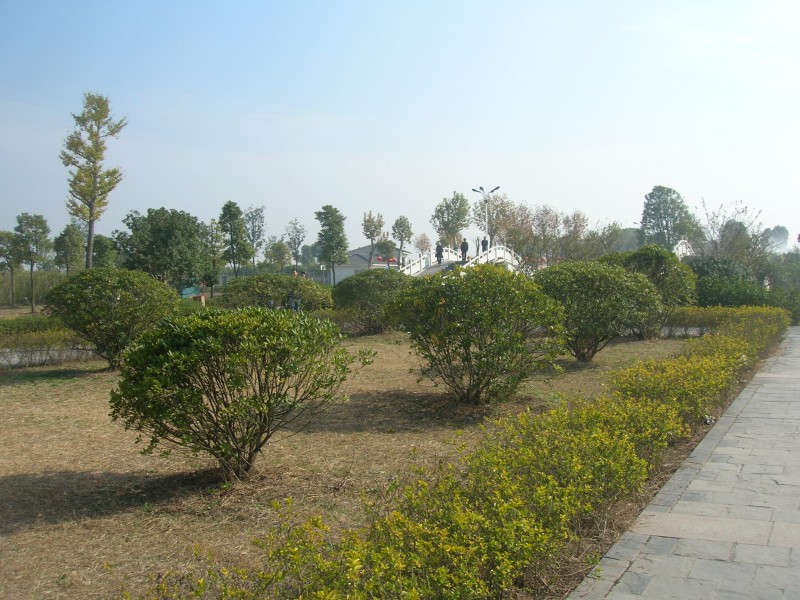 dscn4596.jpg
