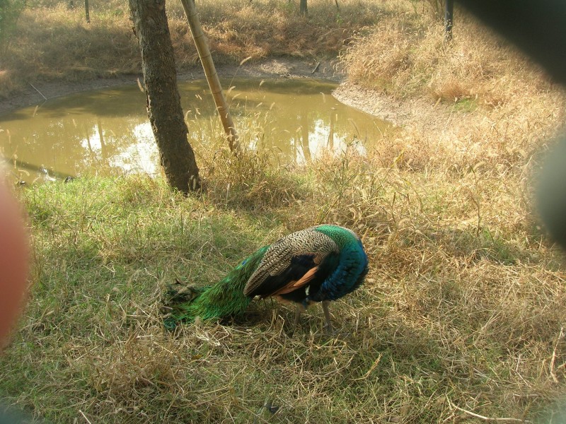 dscn4622.jpg