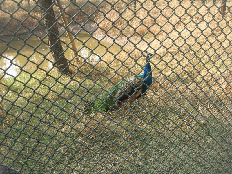 dscn4623.jpg