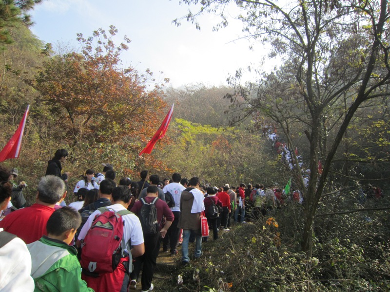 img_4564.jpg