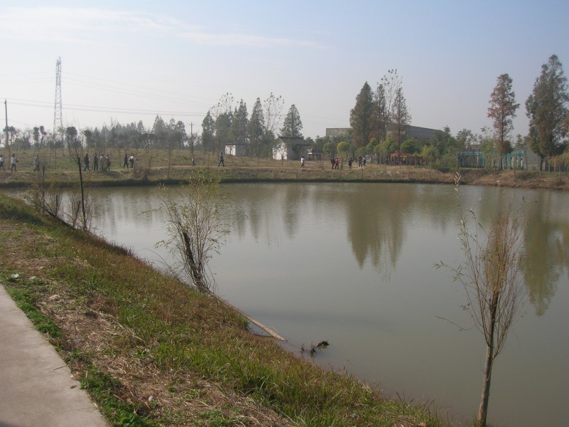 dscn4641.jpg