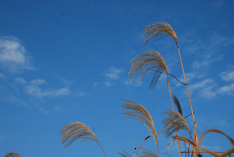 dsc_0025.jpg