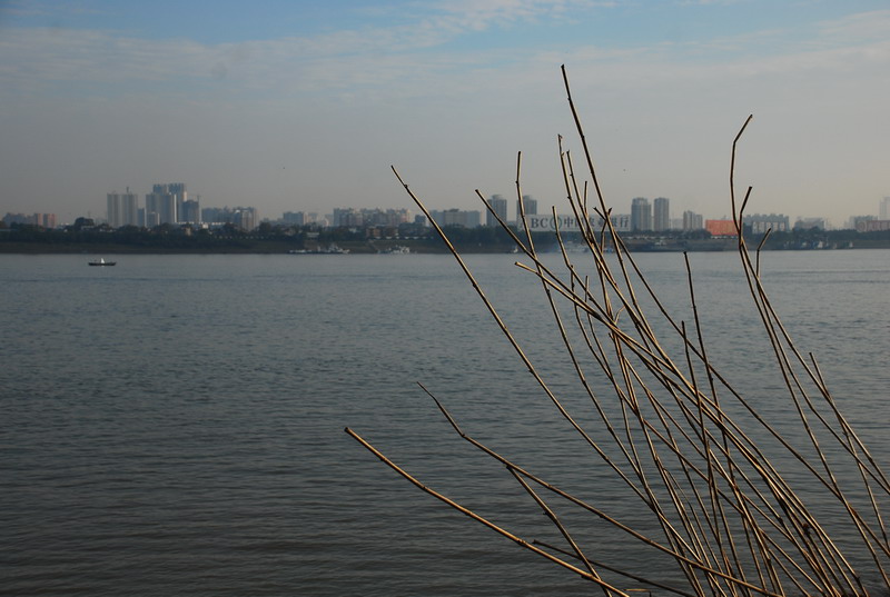 dsc_0068.jpg