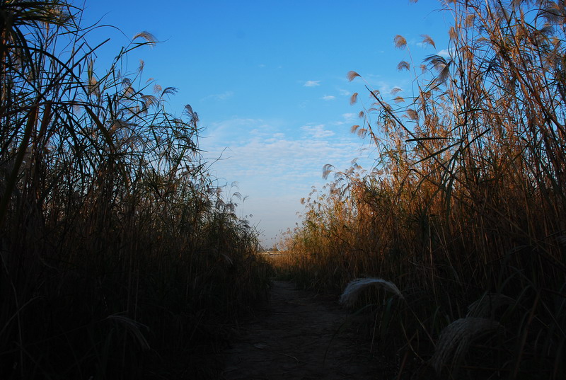 dsc_0151.jpg