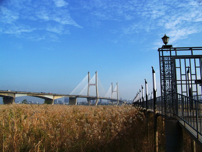 100_5692.jpg