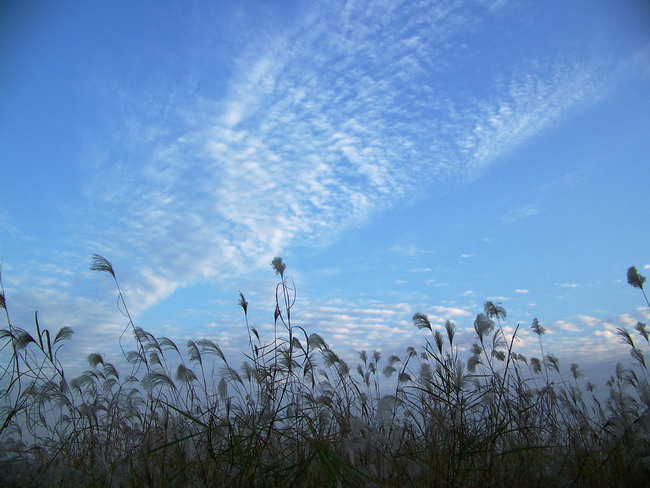 100_5839.jpg