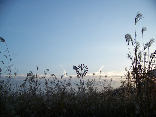 100_5841.jpg
