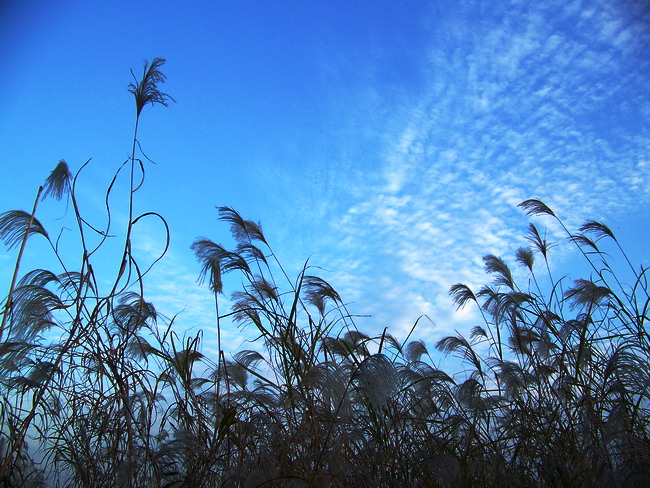 100_5843.jpg