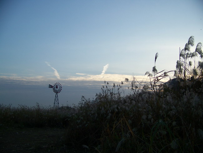 100_5849.jpg