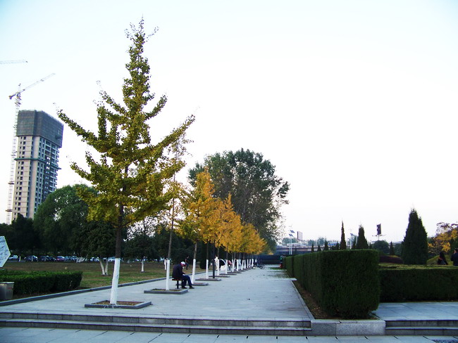 100_5863.jpg