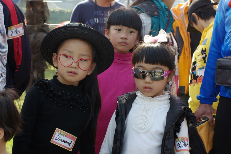 imgp6790.jpg