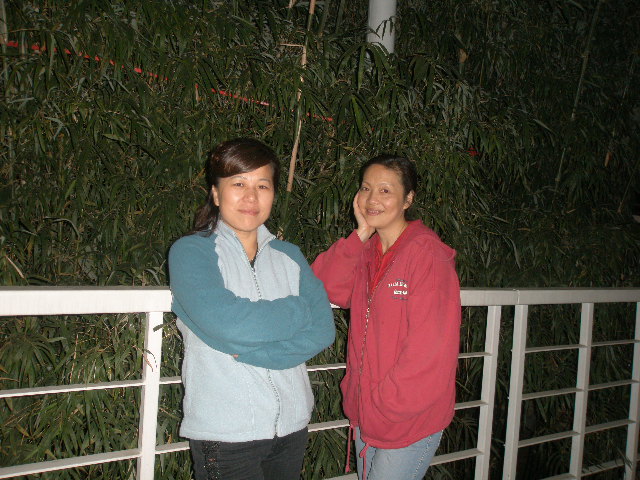pb190029.jpg