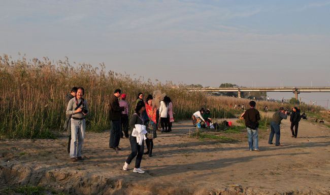dsc_1530.jpg
