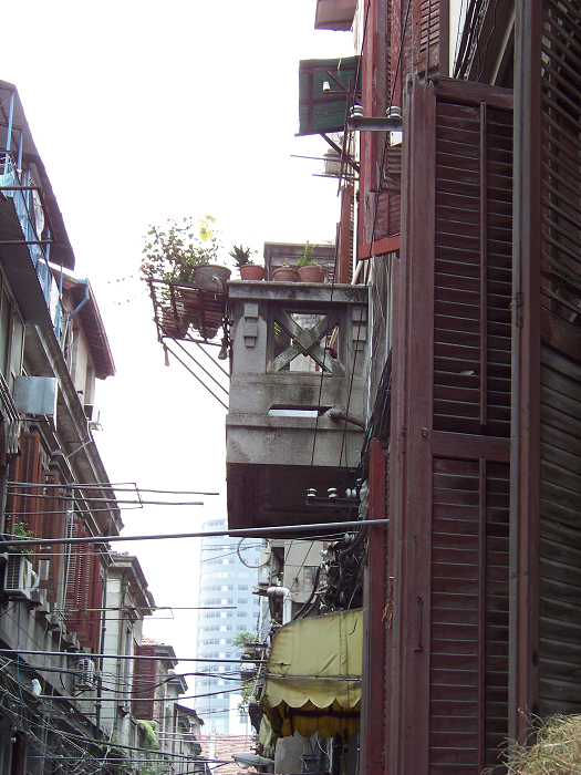 20101114qͬ  (11).jpg
