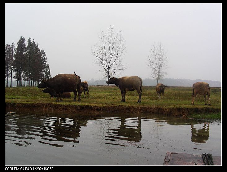 dscn9803.jpg