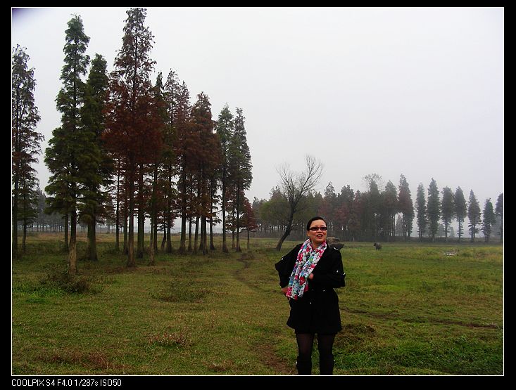 dscn9809.jpg