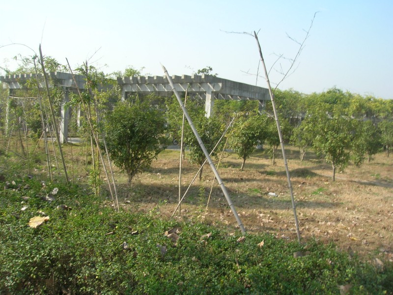 dscn4666.jpg